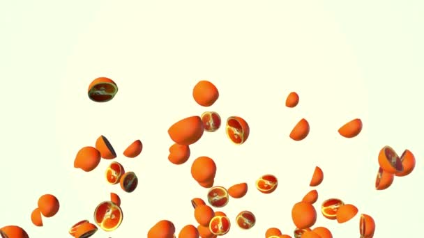 Mouches orange sur fond blanc . — Video