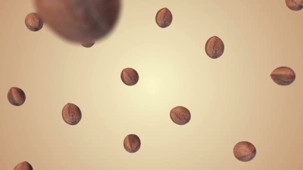 Falling nut on gradient background. — Stock Video