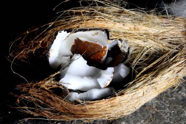 Olgun hindistan cevizi yerde kırılır, Hindistan cevizi kreması ve su