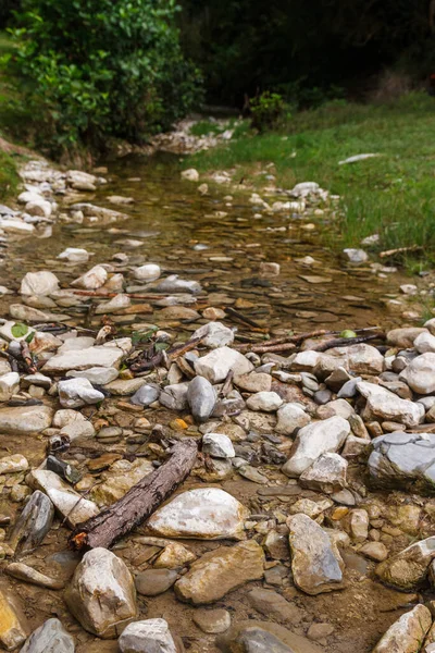 Nehirden akan su manzarası. Nehir akıntısında su akıntısı. — Stok fotoğraf