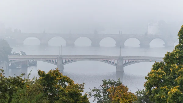 Grzywy i charles most nad rzeką moldau — Zdjęcie stockowe