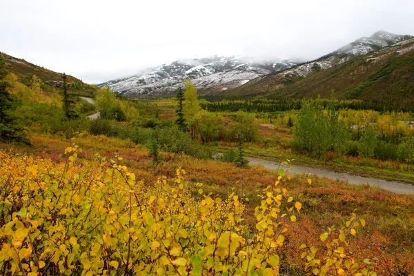 Kleurrijk landschap in kantishna in de herfst — Stockfoto