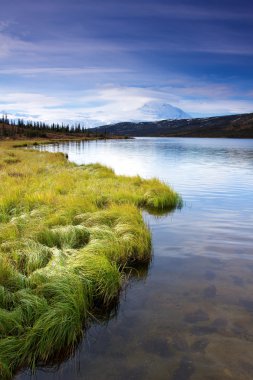 Mount Mckinley merak Gölü ile yeşil çimen