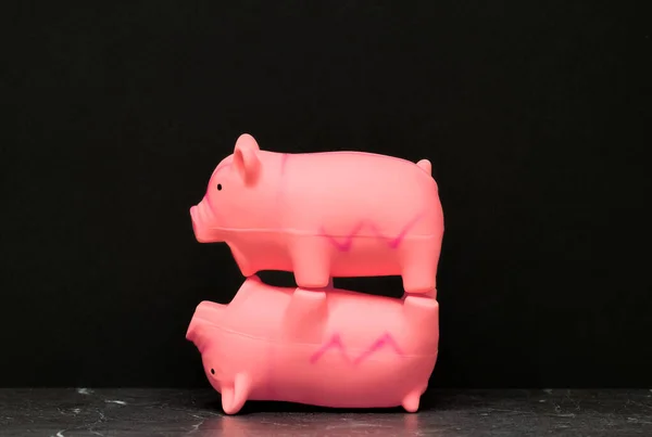 One pig standing balanced on top of another one. Funny animals isolated on dark black background. risk and work and life balance concepts. Concept of things importance.