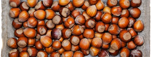Full Frame of organic hazelnuts with nutshell, flat lay. Top view autumn texture backdrop. Harvest, fall concept. Filbert, nut frame. Food ingredient hazelnut Background on wooden plate. macro detail