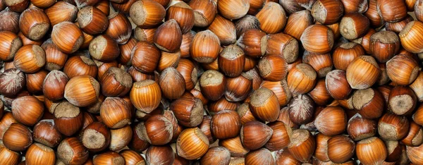 Full Frame of organic hazelnuts with nutshell, flat lay. Top view autumn texture backdrop. Harvest, fall concept. Filbert, nut frame. Food ingredient hazelnut Background, macro detailed close up