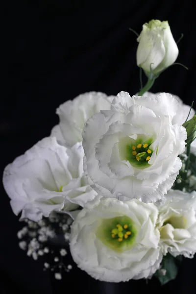 Λευκό μπουκέτο λουλουδιών — Φωτογραφία Αρχείου