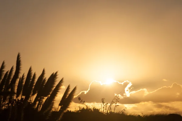 Sunset above the sea — Stock Photo, Image