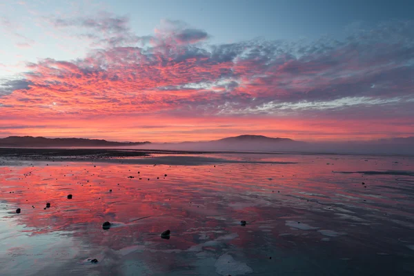 Cielo púrpura sobre una playa en Nueva Zelanda —  Fotos de Stock