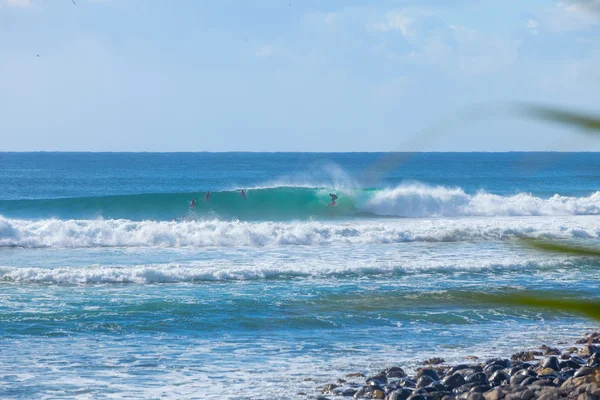 Surfista montando una hermosa ola de la mano derecha en Australia —  Fotos de Stock