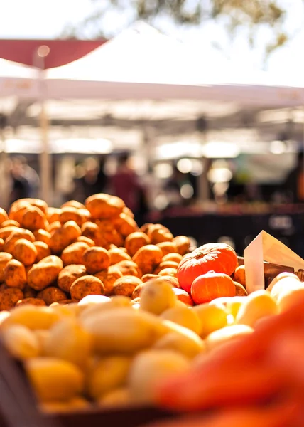 Fresh organic produce on market — Stock Photo, Image