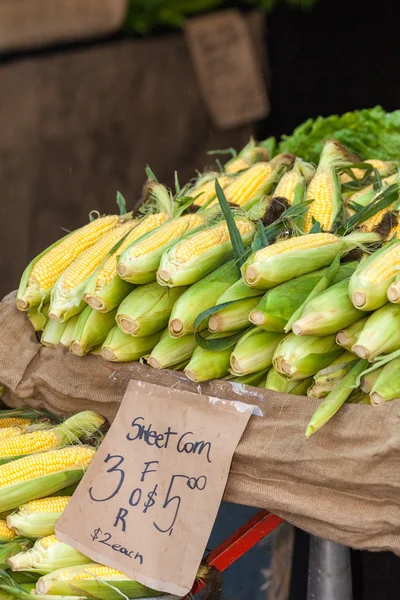 An Partially Shucked Ear of Corn in a Bin of Corn at a Farmers M — Stock Photo, Image