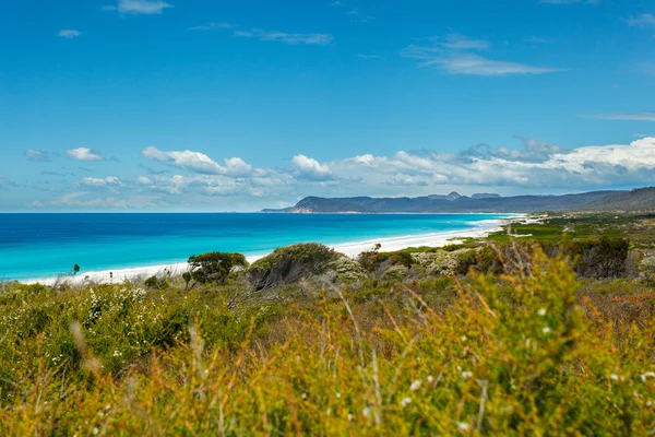 De eindeloze witte stranden aan de oostkust van Tasmanië — Stockfoto