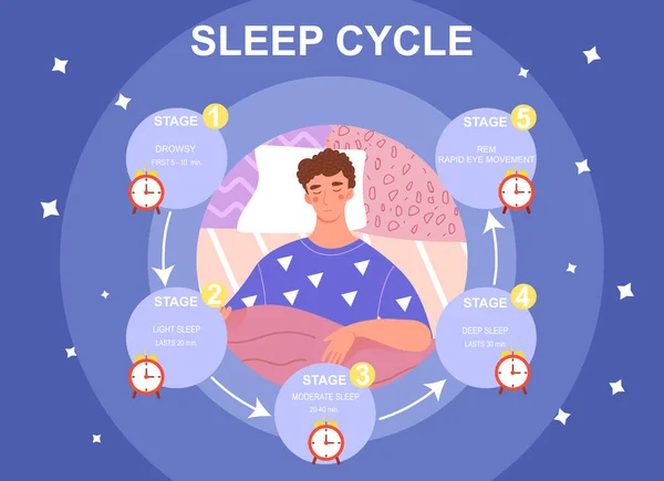 Ciclo de sono infrográficos —  Vetores de Stock