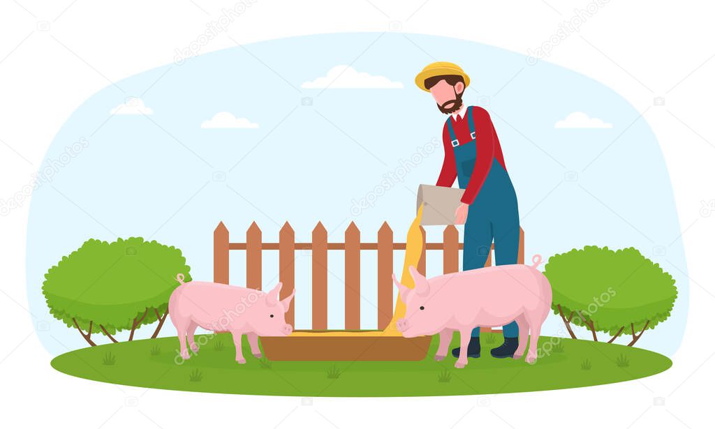 Farmer in blue overall feeding pigs