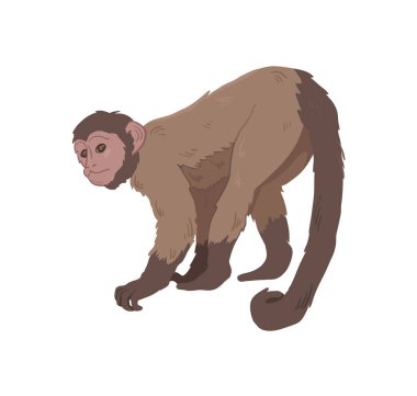 Maymunun vektör simgesi