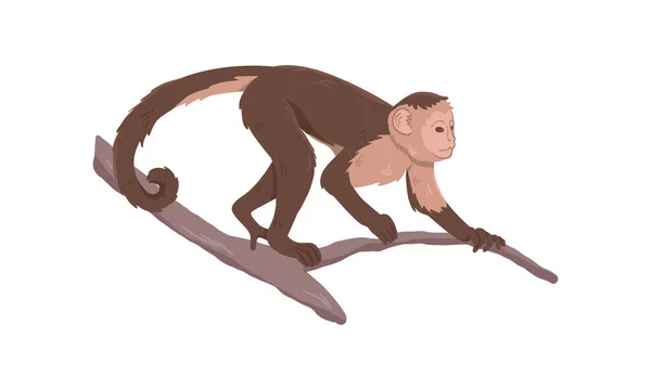 Ícone do macaco no galho da árvore — Vetor de Stock