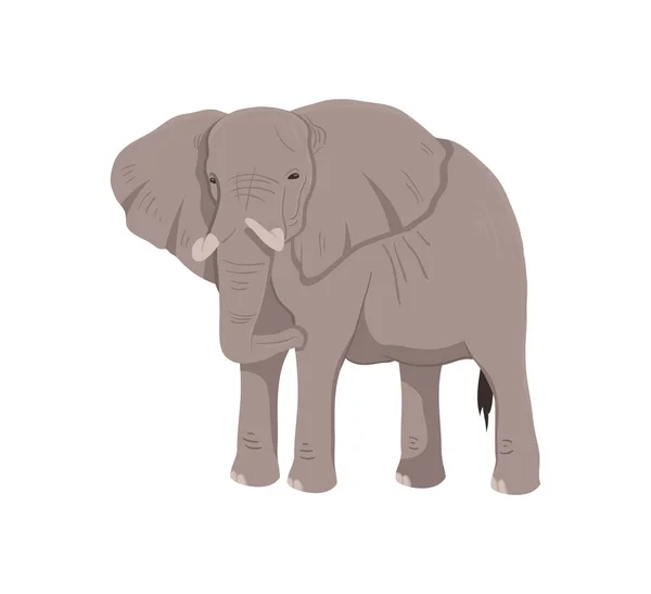Az afrikai elefánt ikonja — Stock Vector