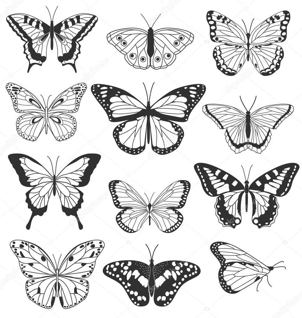 Set of realistic butterflies isolated on white background