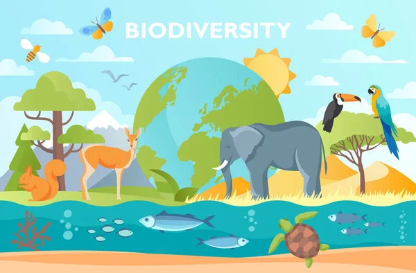 Biodiversity as natural wildlife — Stock Vector