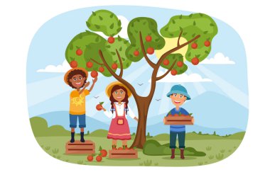 Üç küçük çocuk elma toplamaya yardım ediyor.