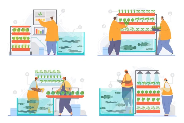 Hydrokultur, aeroponik, akvaponik — Stock vektor