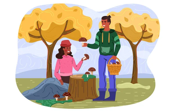 Young couple is picking mushrooms in the forest — Stock Vector