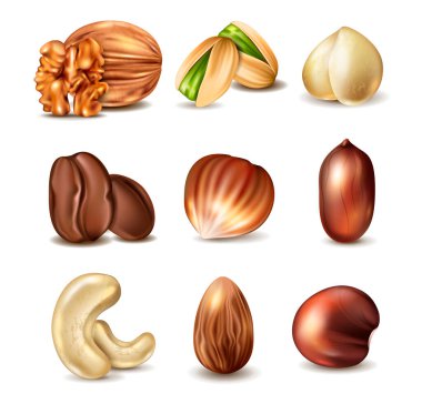 Fındık ve fasulye koleksiyonu.