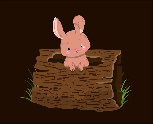 Sevimli küçük ormanlık ya da orman yaratıkları. Tavşanlı poster tasarımı. — Stok Vektör