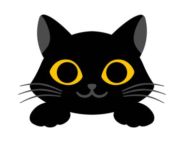 Siyah sevimli kedi beyaz arka planda gülümsüyor.