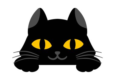 Siyah sevimli kedi beyaz arka planda sinsice gülümsüyor.