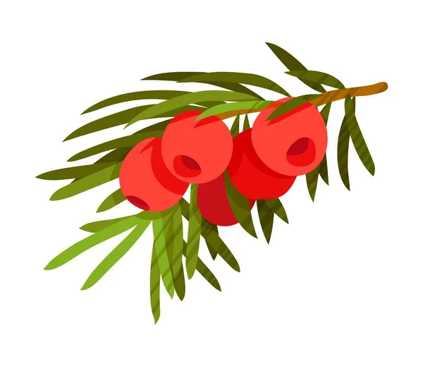 Little branch of ripe lingonberry on white background. — Stock Vector