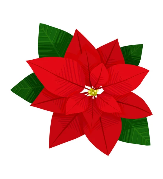 Feuilles vertes et rouges de belle plante poinsettia sur fond blanc — Image vectorielle