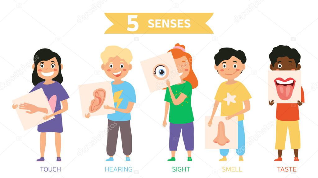 Funny five Senses concept with human organs