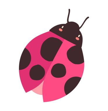 Beyaz arka planda pembe uğur böceğinin şirin çıkartması