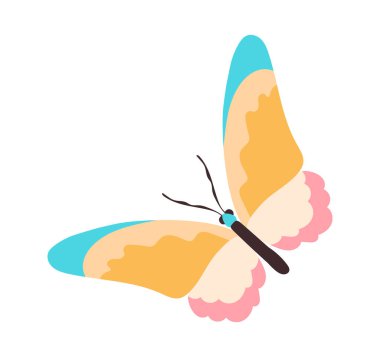 Renkli kelebek beyaz arka planının şirin çıkartması