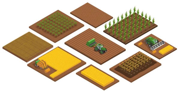 Automatisch gesteuerte Roboter in der Landwirtschaft ernten. — Stockvektor