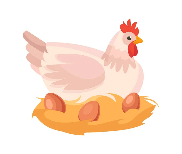 Cute chicken is sitting near her nest with eggs of brown color on white background — Stock Vector