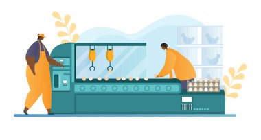 Tavuk yumurtası çiftliği ambalaj hattı