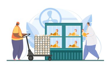 Tavuk yumurtası çiftliği. Kuş veterineri
