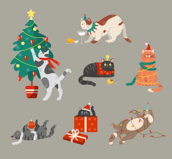 Gatos comemorando férias de inverno —  Vetores de Stock
