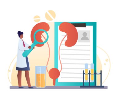 Üroloji ve nefroloji, böbrek sağlığı.