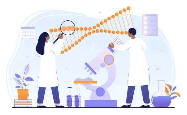 A férfi és női tudósok együtt dolgoznak a genetikai módosításokon. — Stock Vector