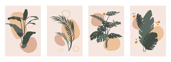 Set d'art mural botanique — Image vectorielle