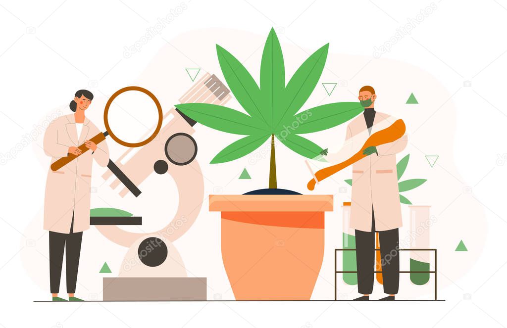 Cannabis research concept