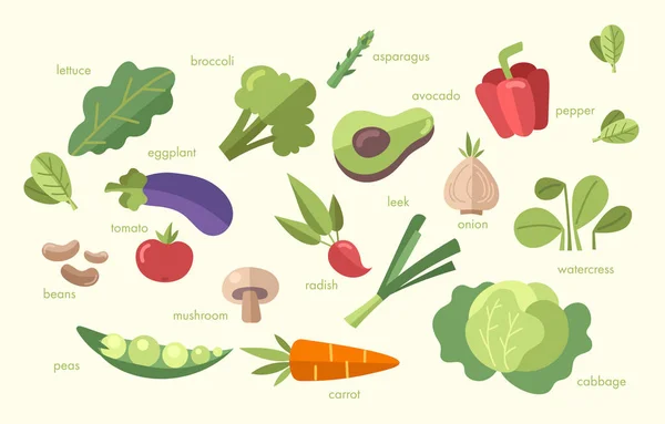 Cartel colorido con diferentes verduras frescas — Vector de stock