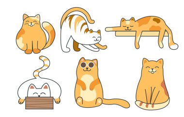 Beyaz arka planda farklı pozlarda şirin renkli kediler.