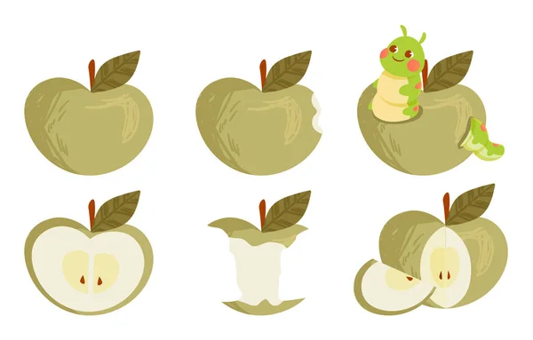 Σύνολο πράσινων ώριμων συλλογών μήλων ολόκληρων και δαγκωμένων σε λευκό φόντο — Διανυσματικό Αρχείο