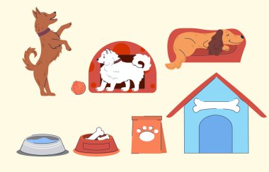 Bej arka planda farklı köpek malzemeleri seti