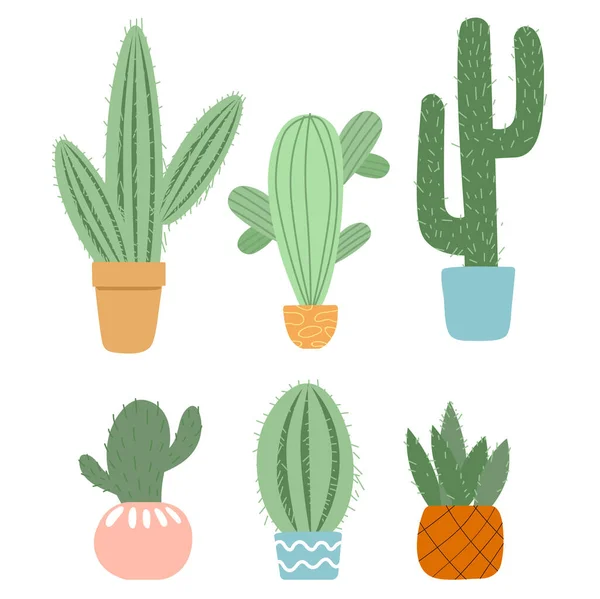 Set de bonitos cactus y suculentas en macetas sobre fondo blanco — Vector de stock